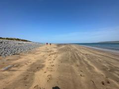 Guest walkers outpacing us along the northern side of the Burrows